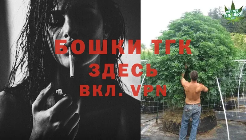 Канабис SATIVA & INDICA  что такое   Ишим 